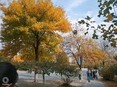 -中国海洋大学（崂山校区）-图书馆