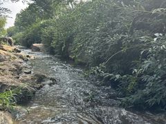 -羊山湖公园