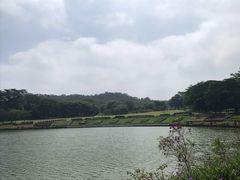 -东莞植物园