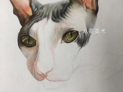 -八哥美术·成人美术画室(总校区)