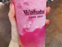 -娃哈哈·奶茶(武林店)