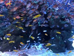 -成都浩海立方海洋公园