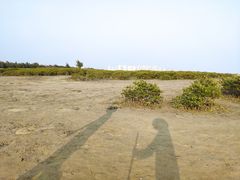 -北海金海湾红树林生态旅游区