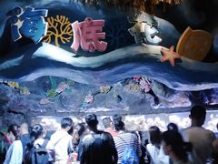 -郑州海洋馆
