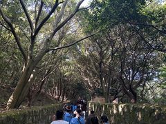 -普陀山风景区-佛顶山