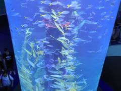 -广州海洋馆