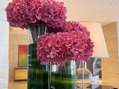 -武汉马哥孛罗酒店