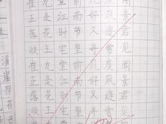 -赵汝飞练字硬笔书法(长寿路校区)