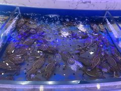 -澜悦港海鲜体验主题餐厅