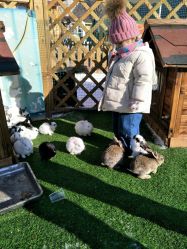 -萌宠亲子动物乐园(槐房万达店)