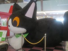 -福田卓悦INTOWN购物中心