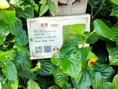 -广州神农草堂中医药博物馆