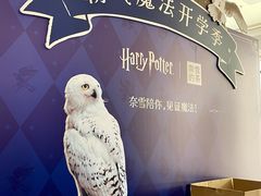 -龙湖成都上城天街