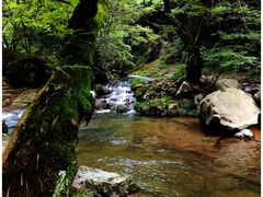 -余姚四明湖开元名都度假酒店·夏威夷西餐厅