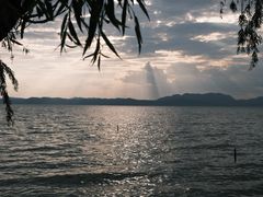 -捞渔河湿地公园