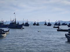 -海源公园