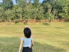 -田心森林公园