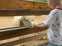 -HERRE·FARM 赫尔露营农场·团建聚会包场