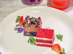 -花舍·新派粤菜·西餐·下午茶(亚运村·鸟巢店)