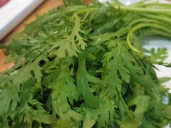 茼蒿-草之味草原·涮羊肉火锅(吴中万达店)