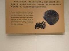 -南越王博物院(王宫展区)
