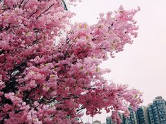 -首开·龙湖成都西宸天街