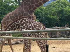 -杭州野生动物世界