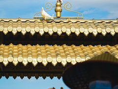 -广州莲花山旅游区