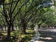 -苏州河梦清园环保主题公园