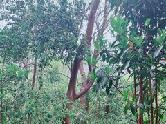 -南山风景名胜区