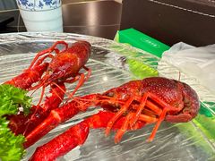 -京悦南门涮羊肉·羊蝎子火锅(田林路店)