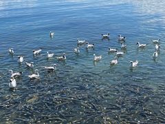 -青海湖二郎剑景区