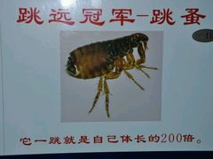 -上海昆虫博物馆