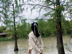 -上海长兴岛郊野公园