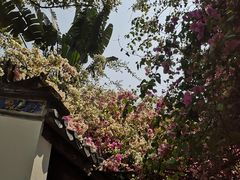 -深圳国际园林花卉博览园