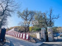 -北京鹫峰国家森林公园