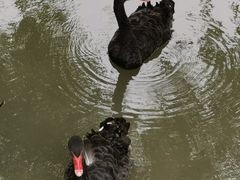 -长兴太湖图影湿地文化园