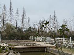 -前小桔亲子创意农场·草莓采摘·露营烧烤