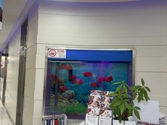 -雅悦齿科(顾村公园店)
