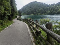 -武陵山森林公园