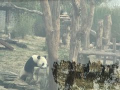 -武汉动物园