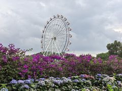 -观澜湖生态运动公社