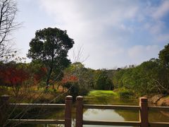 -上海海湾国家森林公园