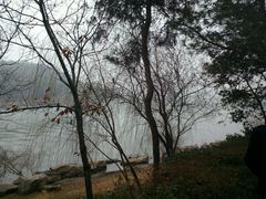 android_upload_pic-天目湖涵田度假村