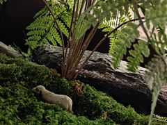 -万龙洲海鲜(南新仓店)