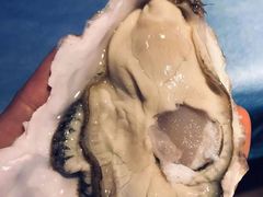 -千岛蚝高压锅生蚝·人参火锅(白云万达店)