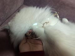 -目艮眼镜SHOWROOM(品牌集合店)