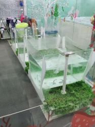 -鱼乐贝贝婴幼儿水育馆(星汇广场店)