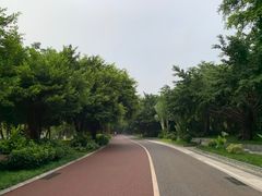 -南宁南湖公园