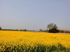 -中国天府农业博览园